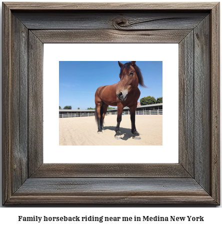 family horseback riding near me in Medina, New York